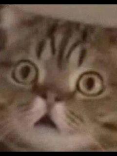 ;Ȩ۷ȫĶ