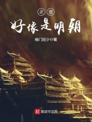 在综武努力变强,被女侠们盯上了全文免费阅读