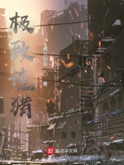 ����������ƽ�Թ�ȫ������Ķ�