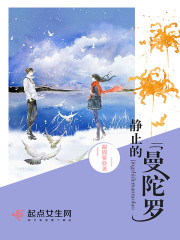 父母双亡弟妹多,不当皇婶谁护我全文免费阅读