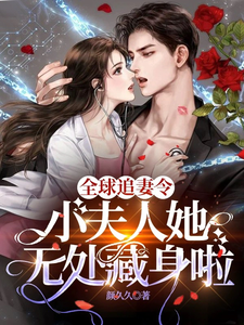 全球追妻令!小夫人她无处藏身啦全文免费阅读