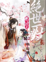 大汉:汉使所至,皆为汉土!全文免费阅读