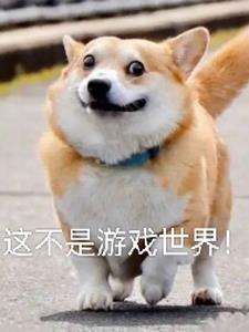 ס�֣��ⲻ����Ϸ���磡ȫ������Ķ�