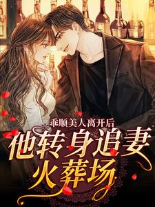 乖顺美人离开后,他转身追妻火葬场全文免费阅读