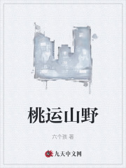 ����ɽҰȫ������Ķ�