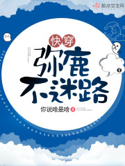 七零:被赶出家门后我转头嫁军官全文免费阅读