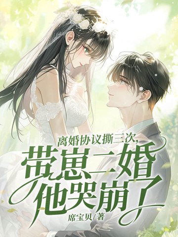 离婚协议撕三次,带崽二婚他哭崩了全文免费阅读