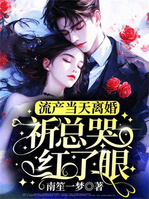 流产当天离婚,祈总哭红了眼全文免费阅读