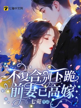 不复合,别下跪,前妻已高嫁全文免费阅读